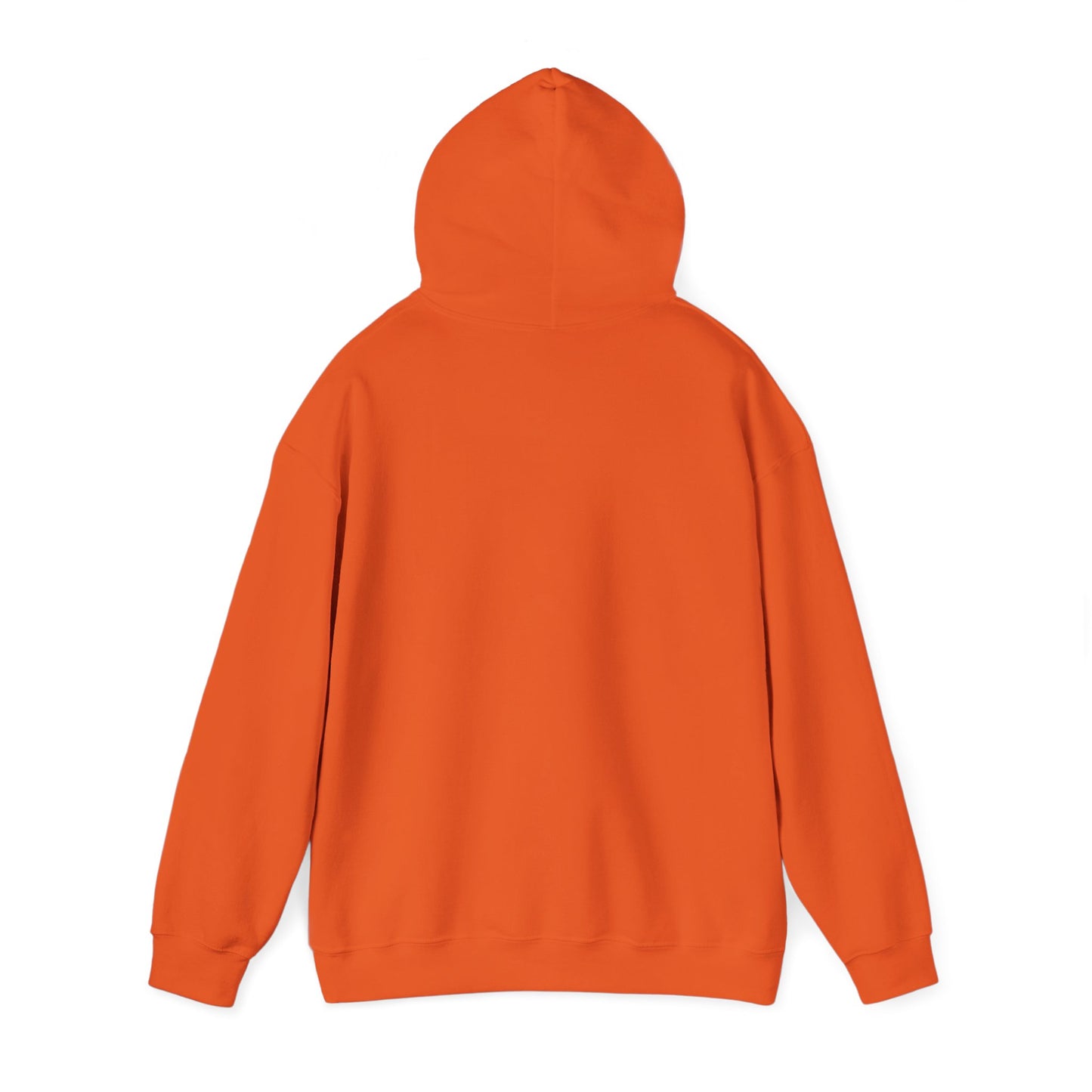 sun shine Hoodie - Unisex Heavy Blend™ Sweatshirt for Creative Minds, Gift for Tech Enthusiasts, Casual Wear, Comfortable Hoodie